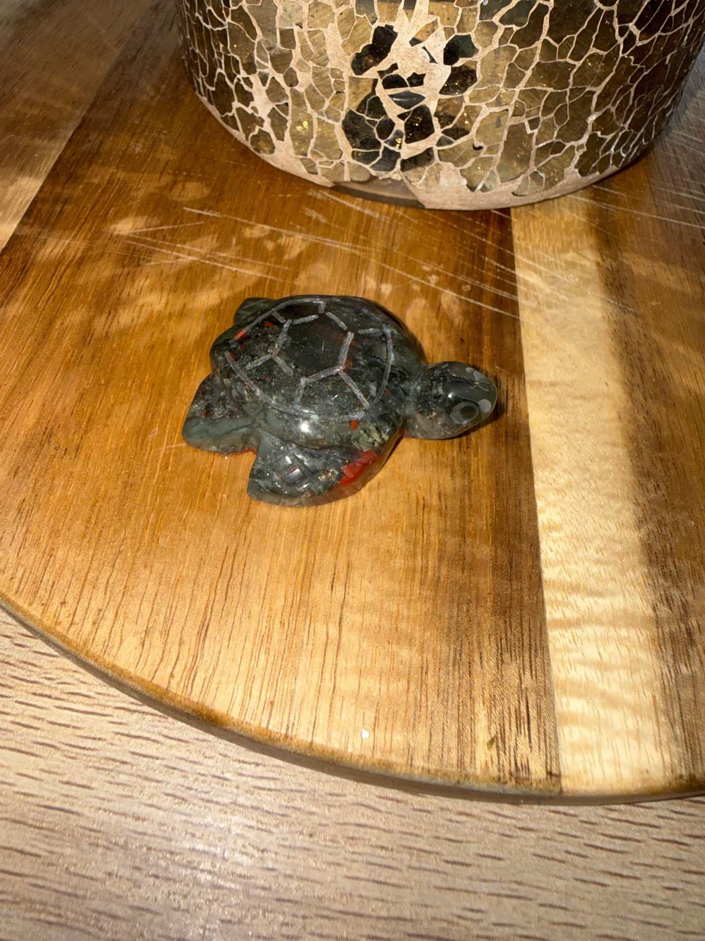 African Bloodstone turtle