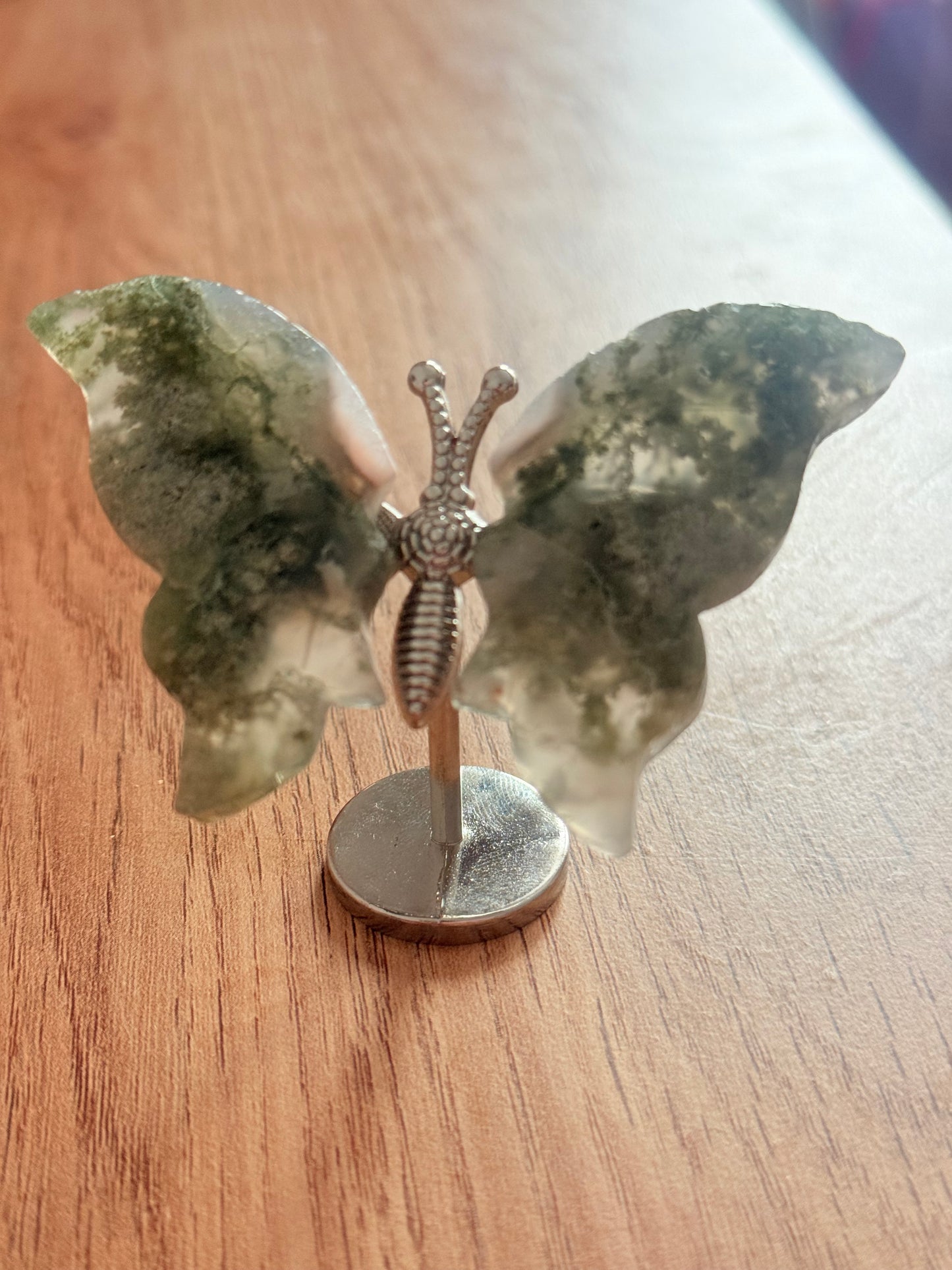 Moss mini butterfly