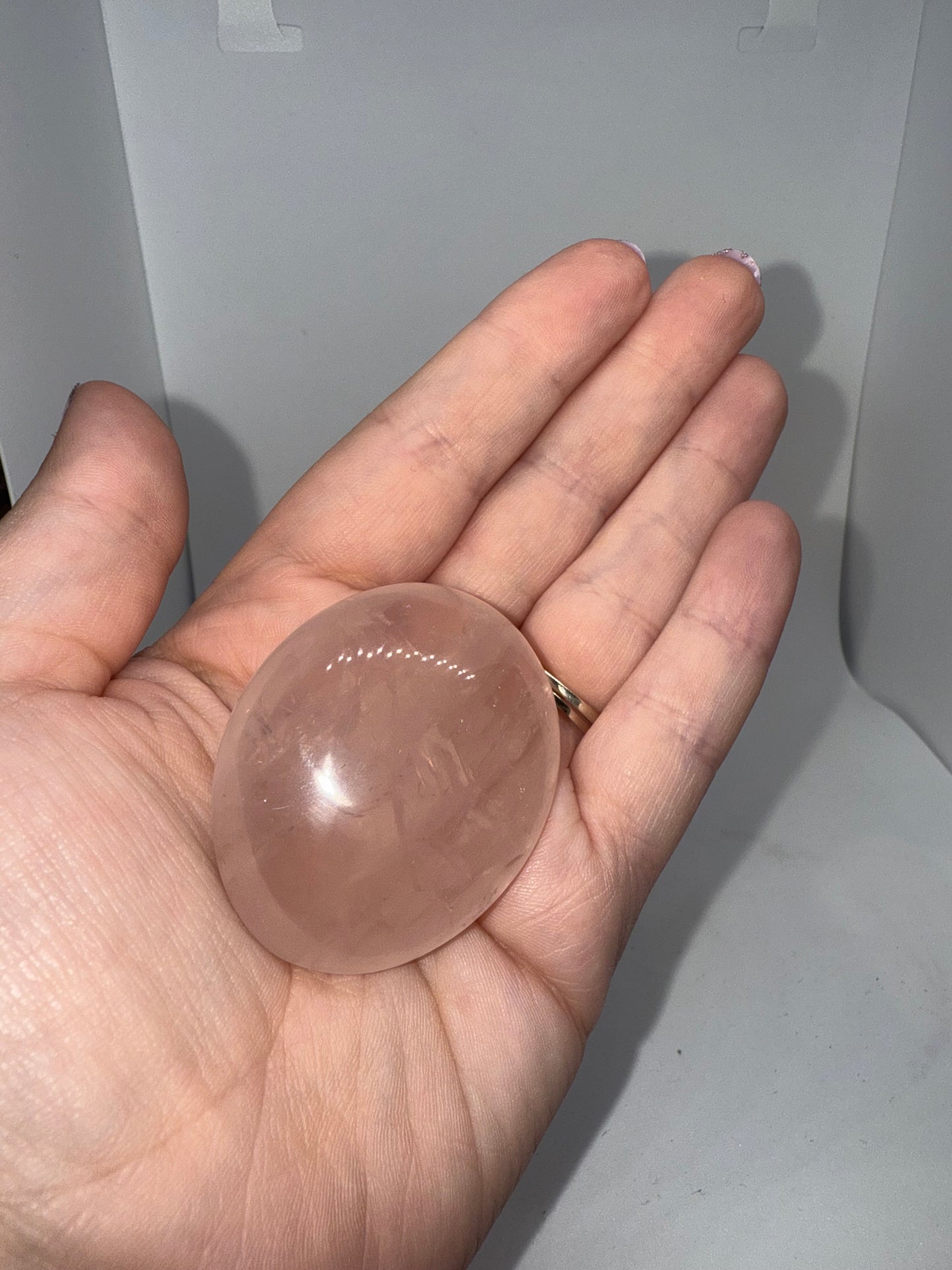 Amethyst Palm small