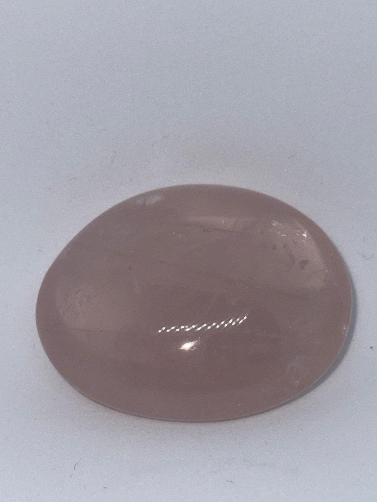 Amethyst Palm small