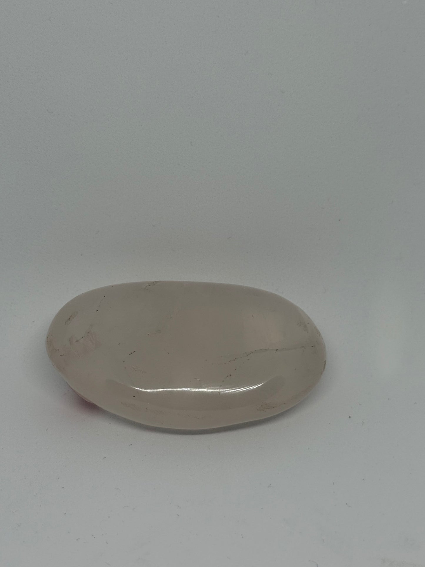 Amethyst Palm