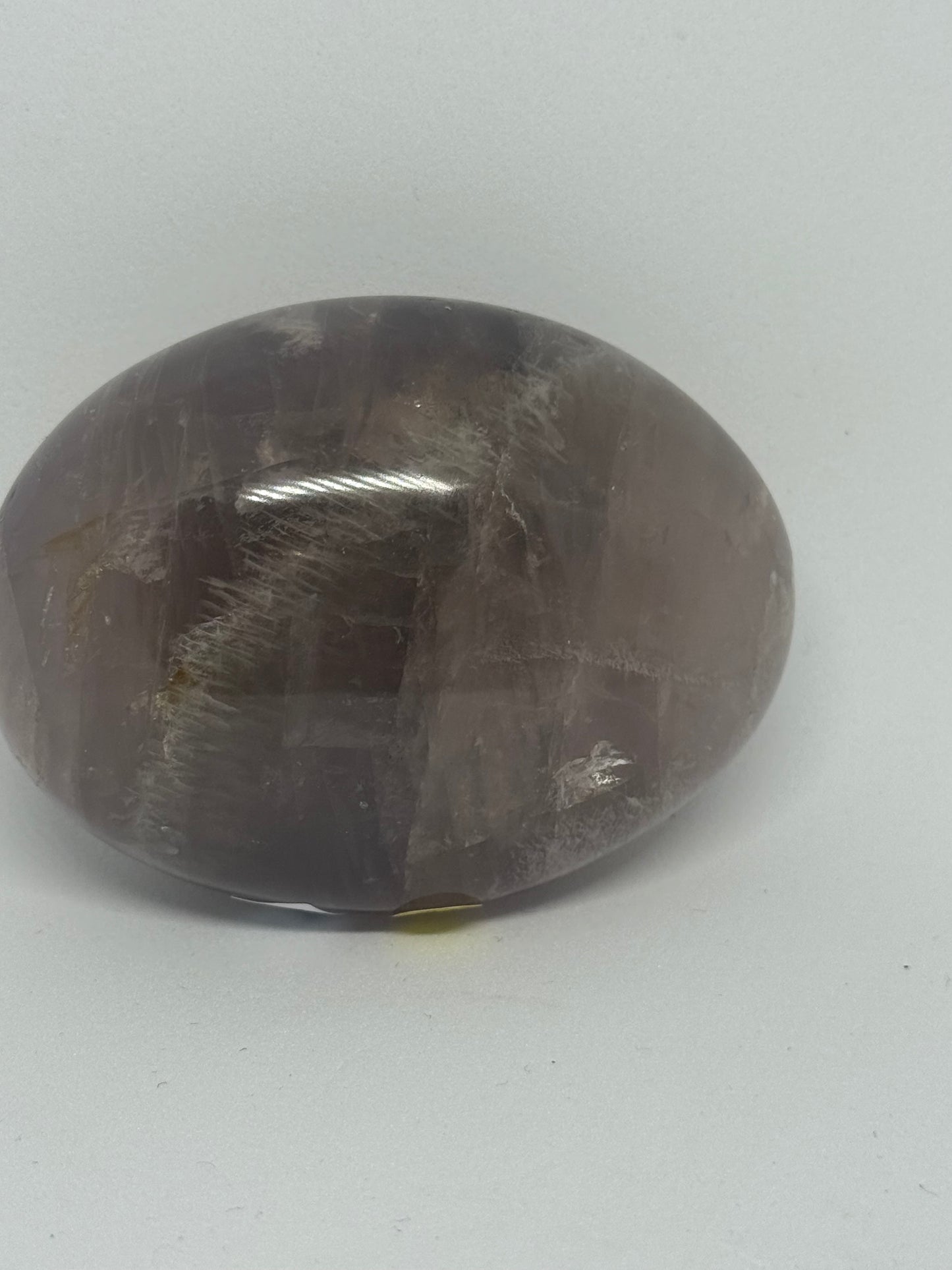 Amethyst Palm