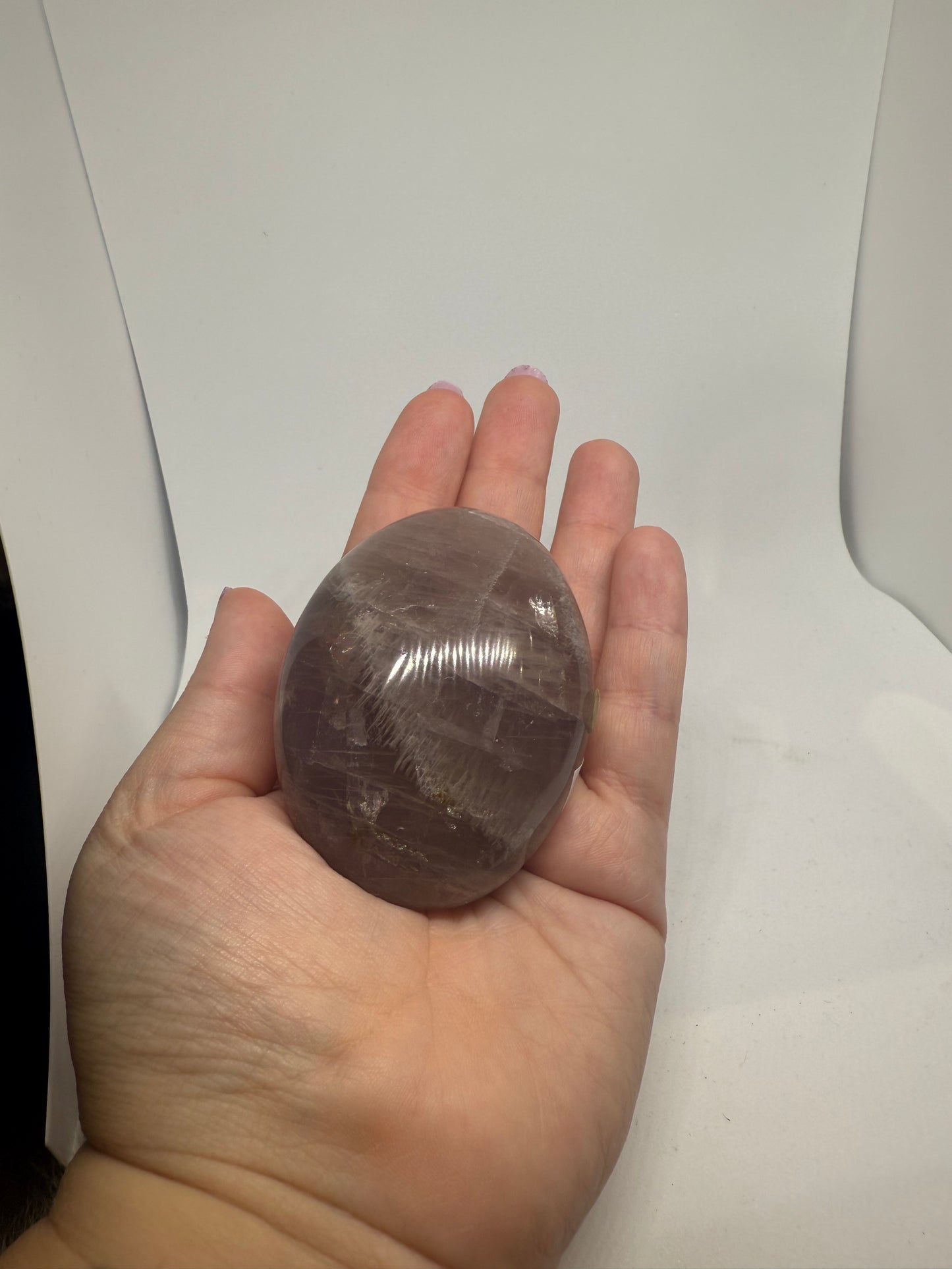 Amethyst Palm