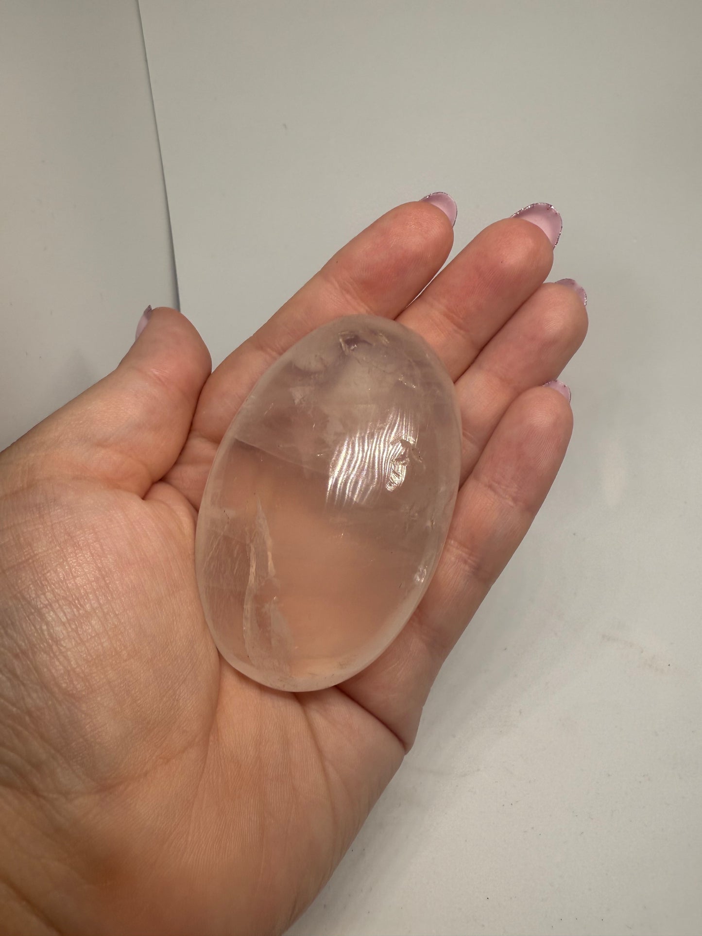 Amethyst Palm