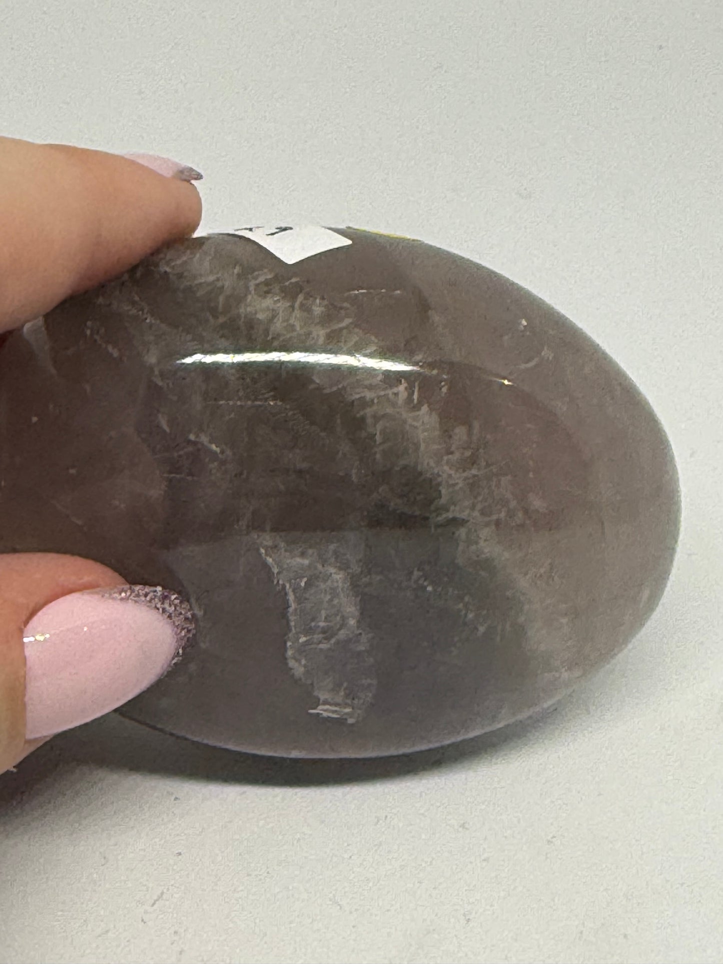 Amethyst Palm