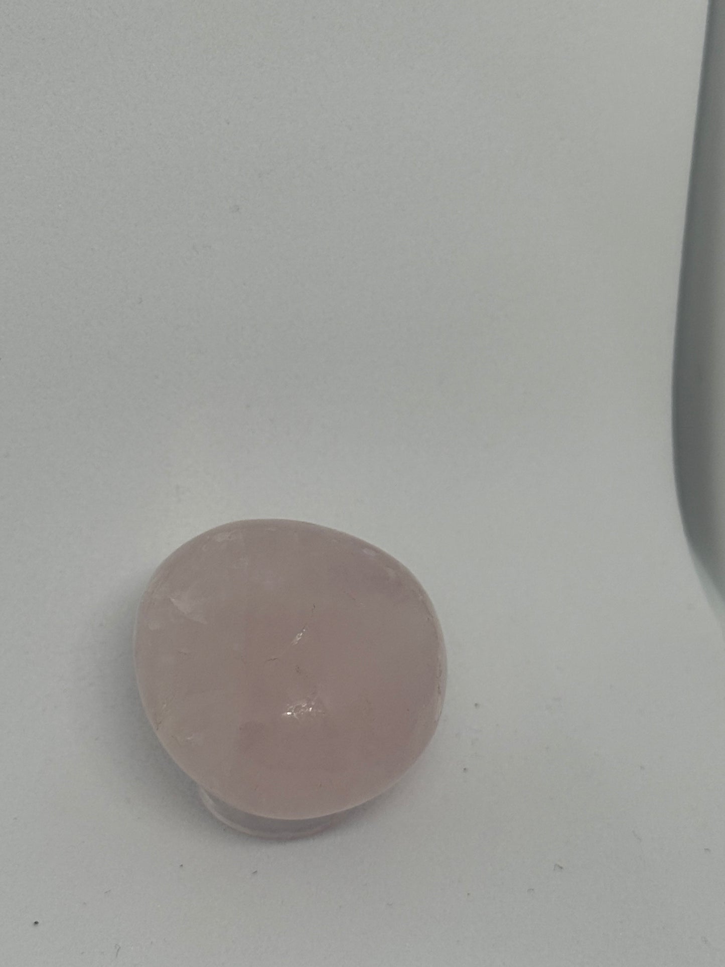 Amethyst Palm small