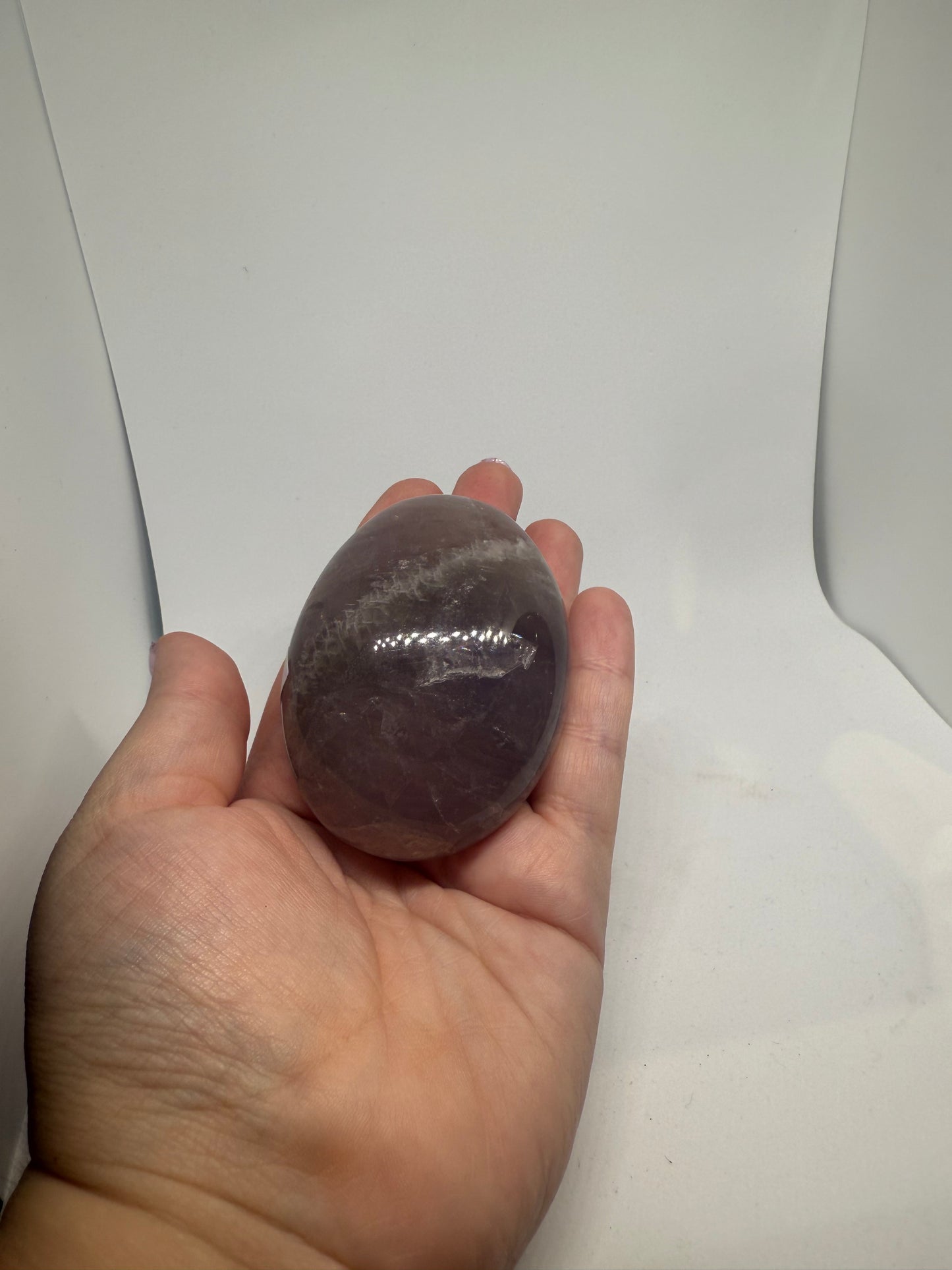 Amethyst Palm