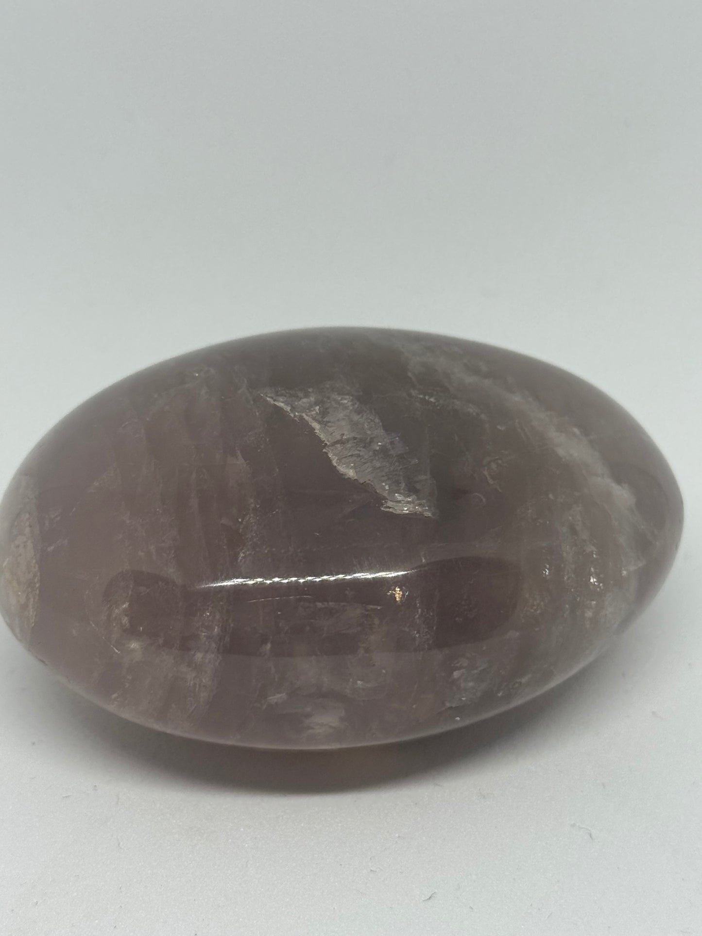 Amethyst Palm