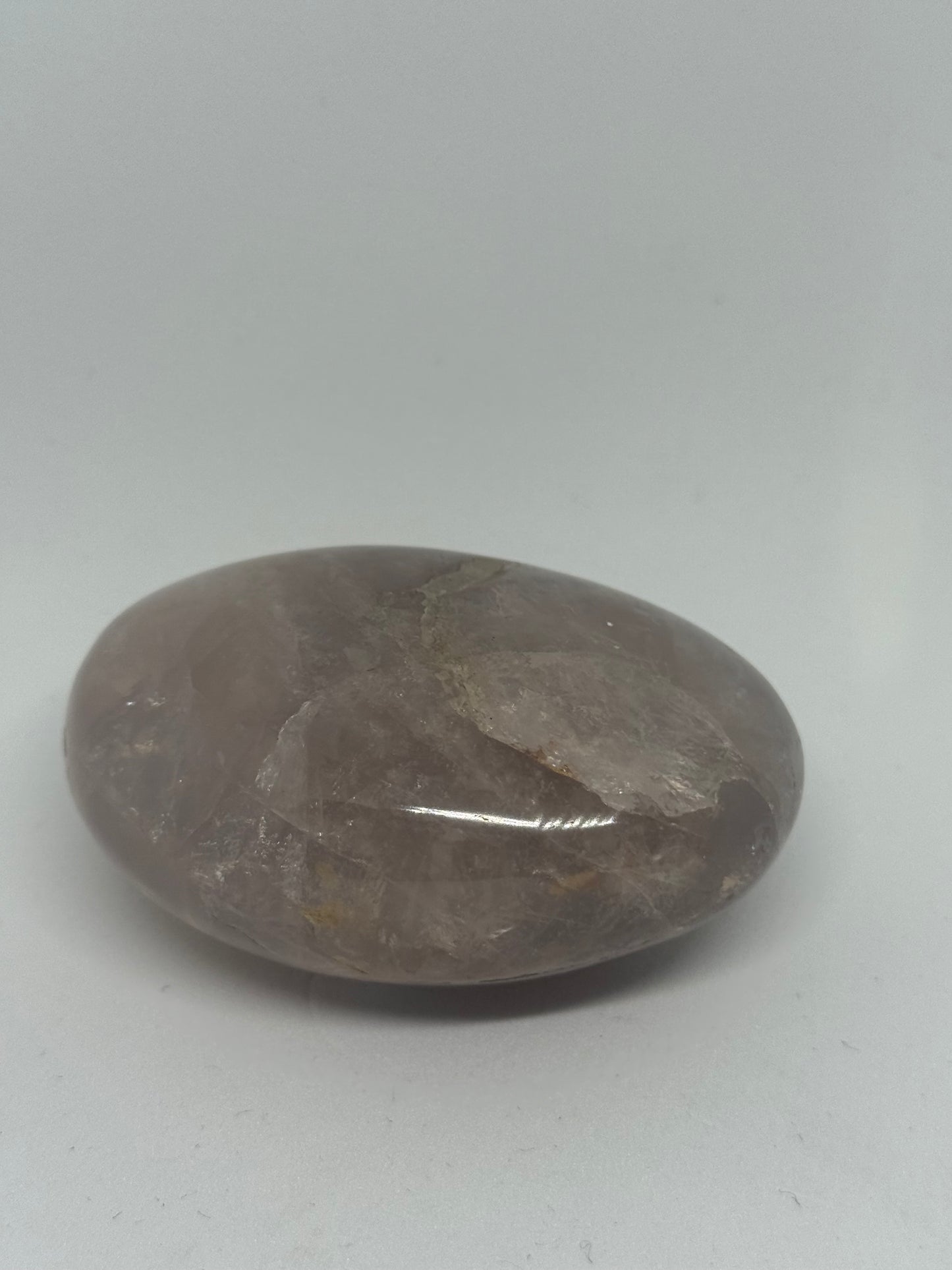 Amethyst Palm