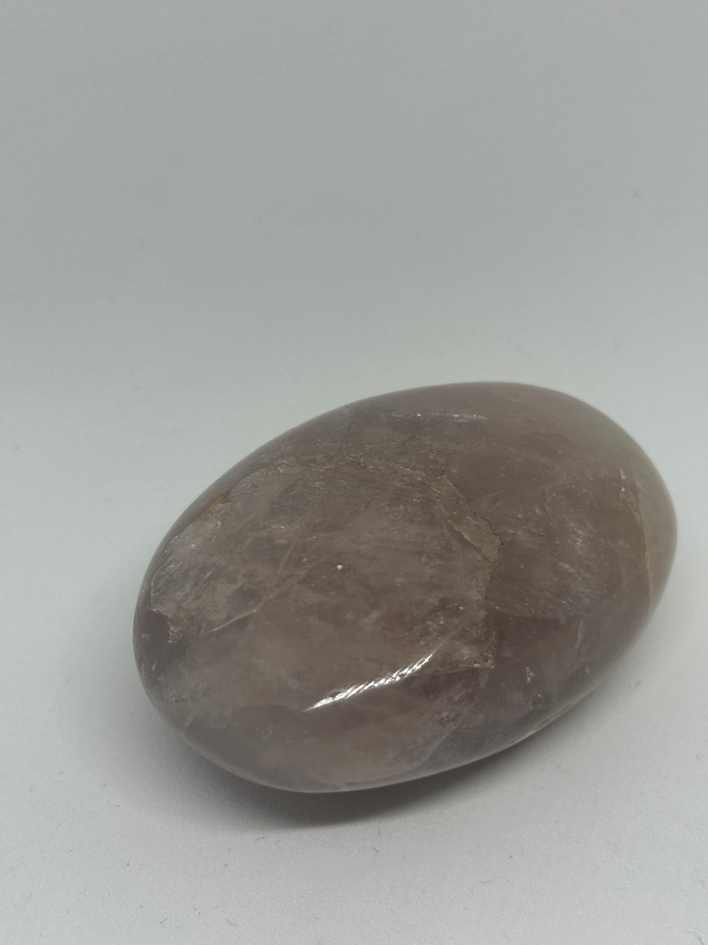 Amethyst Palm