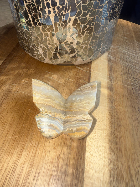 3D butterfly yellow crazy lace B
