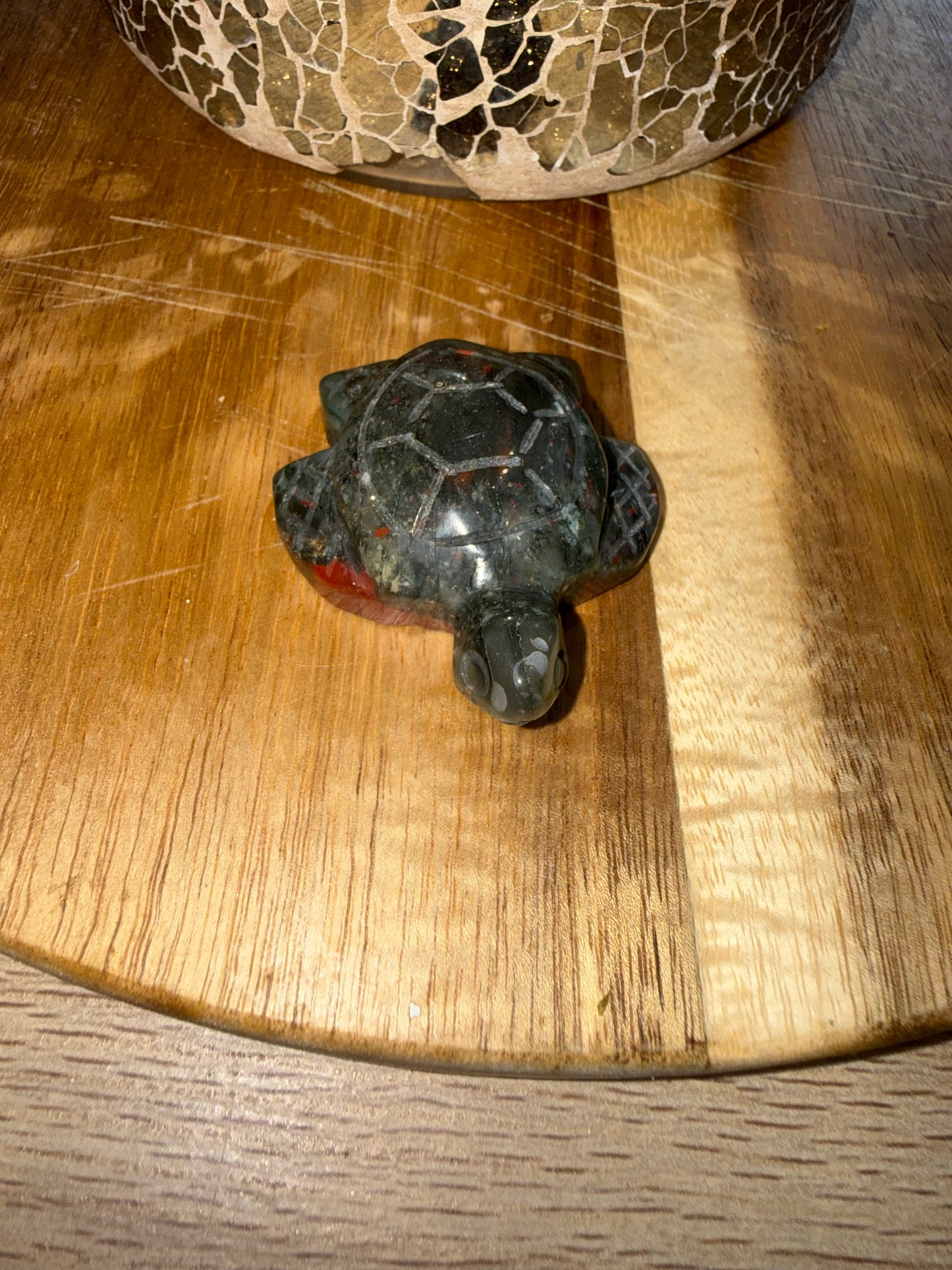 African Bloodstone turtle