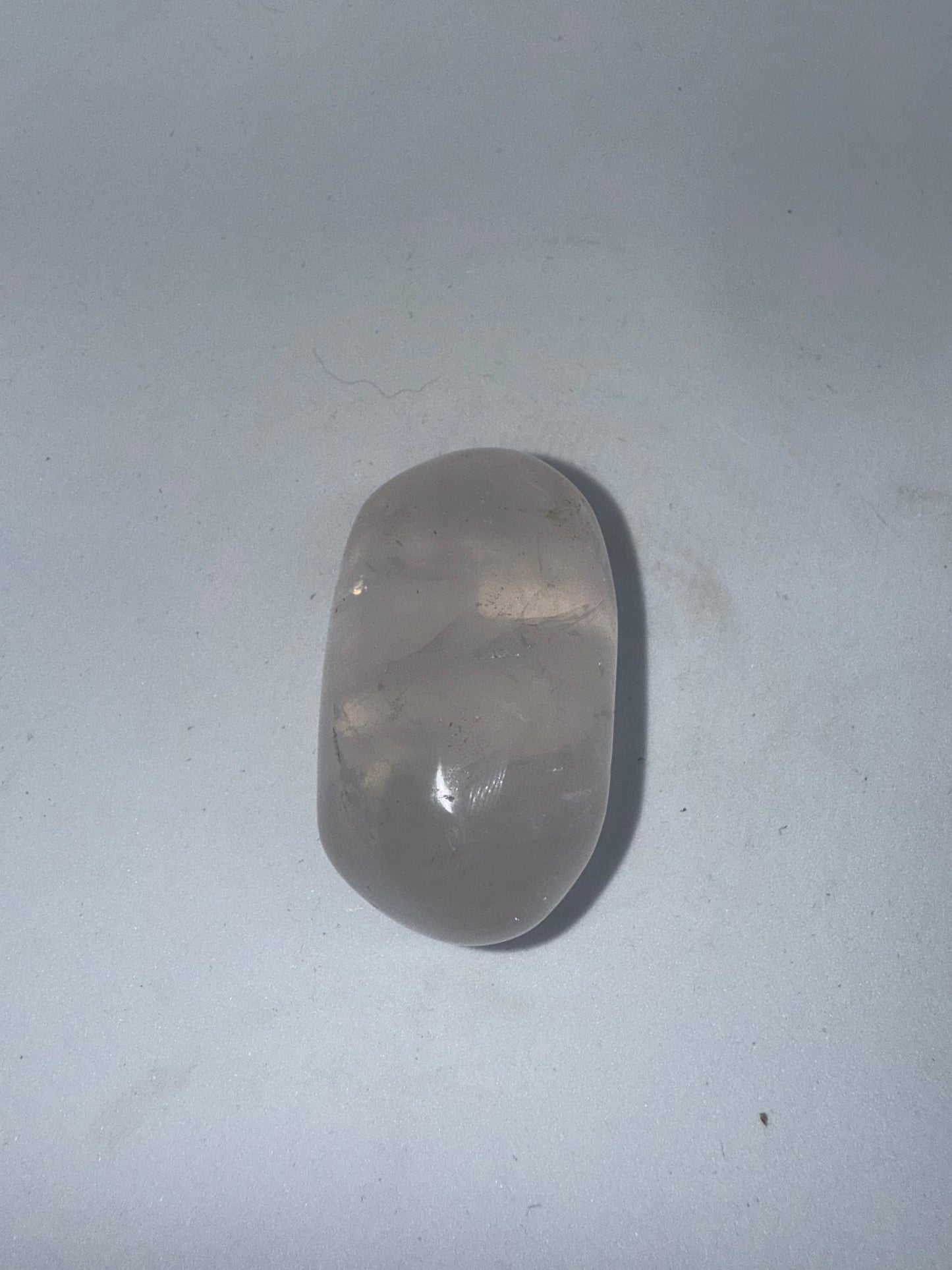 Amethyst Palm small