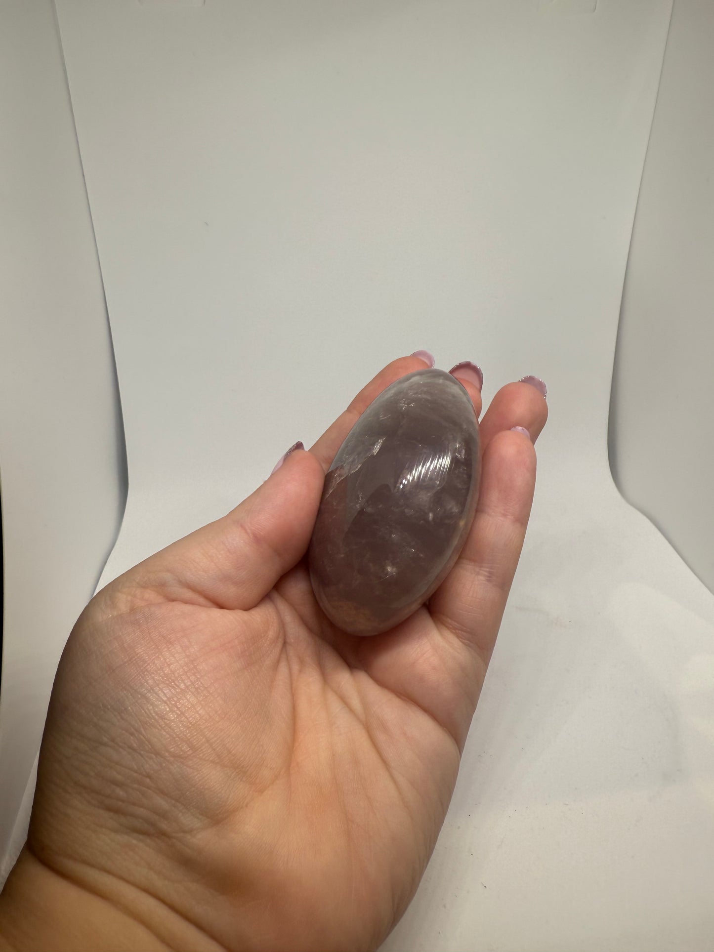 Amethyst Palm