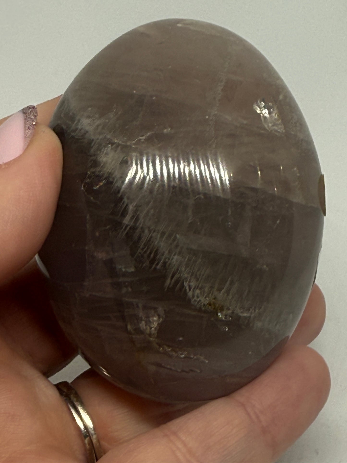 Amethyst Palm