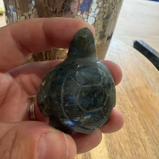 Mini labradorite turtle