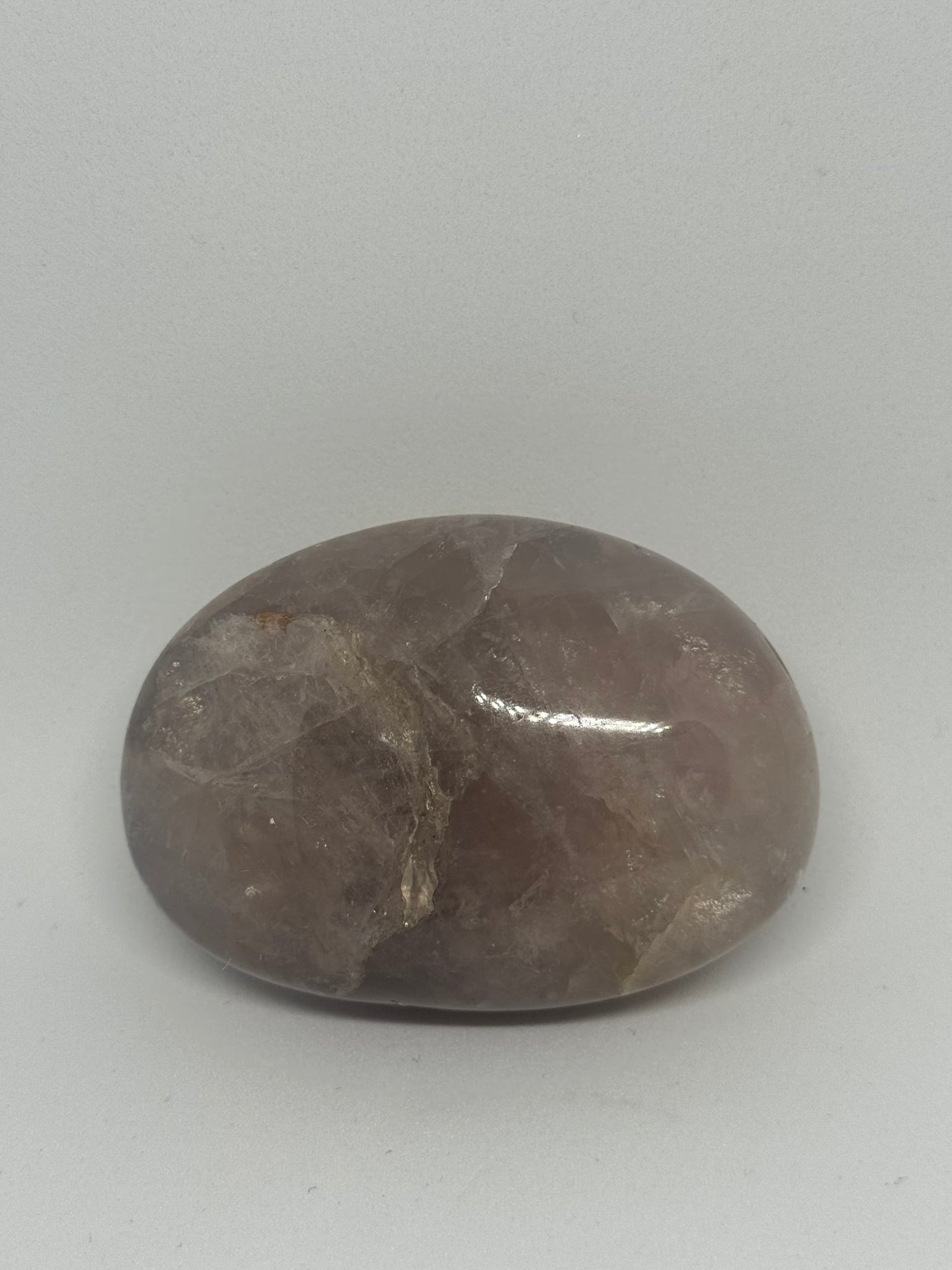 Amethyst Palm