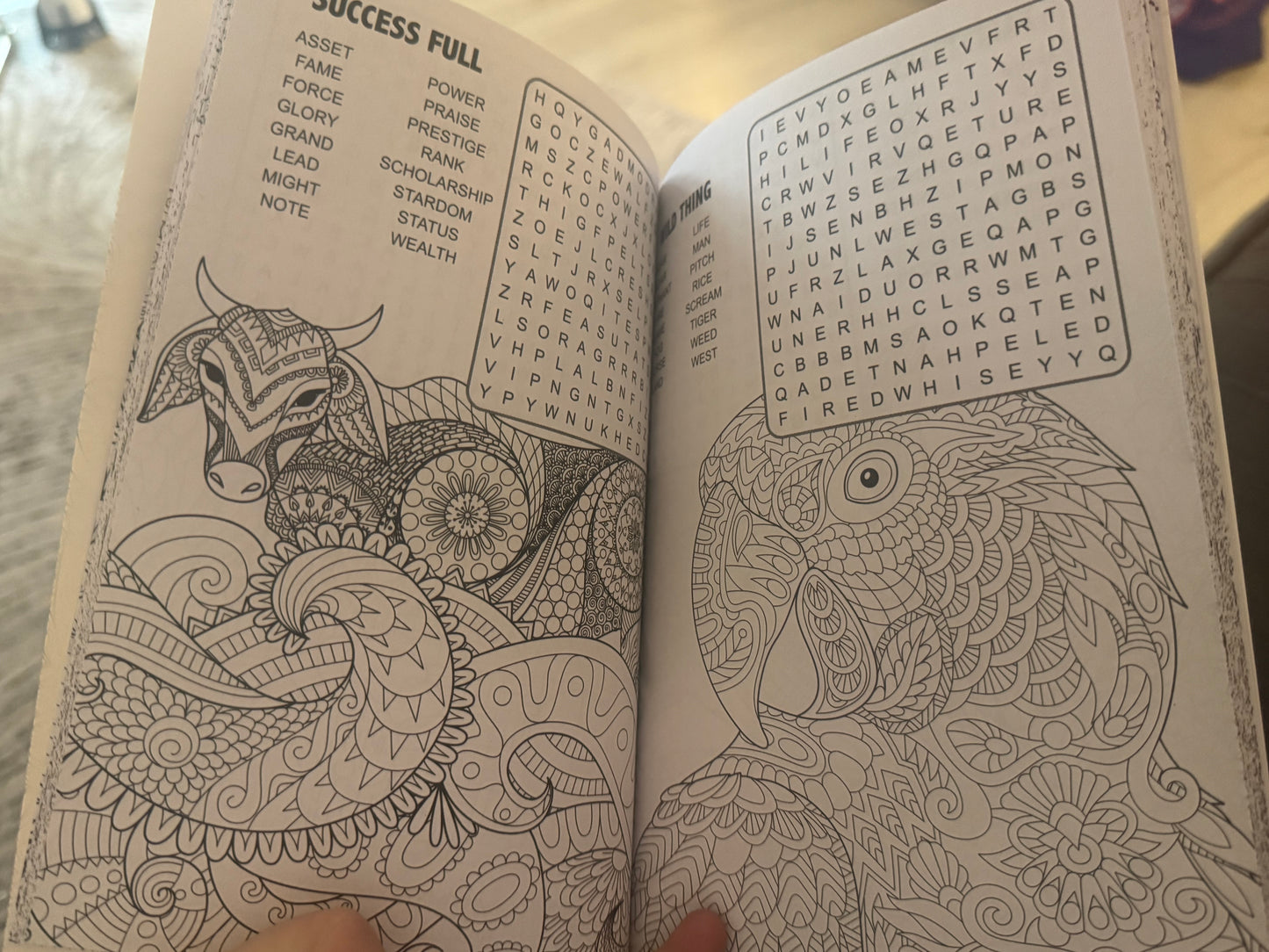 Mindful colouring and word search