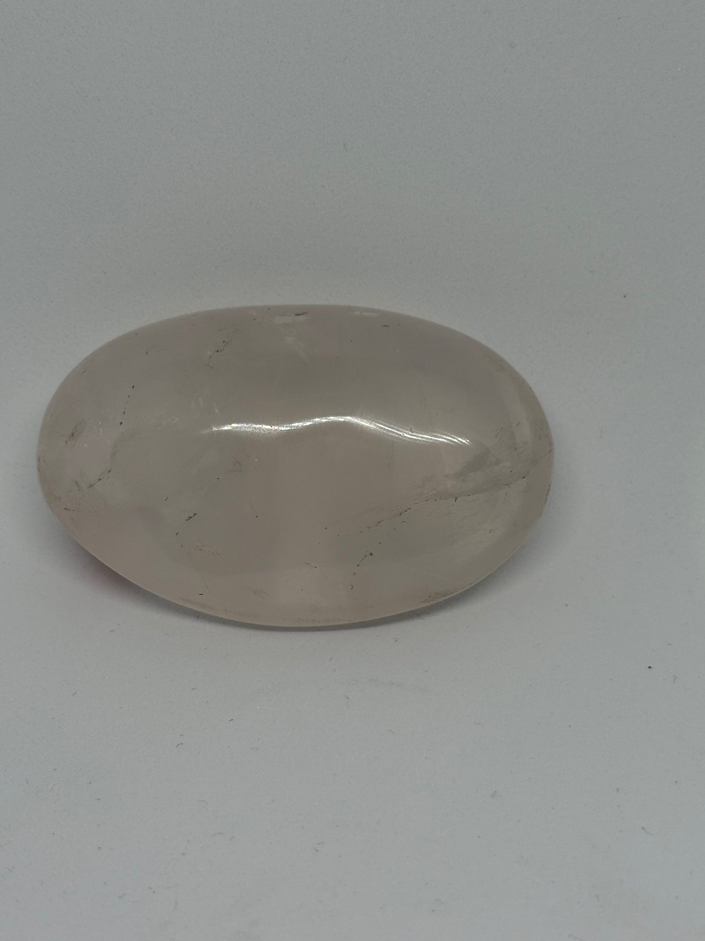 Amethyst Palm