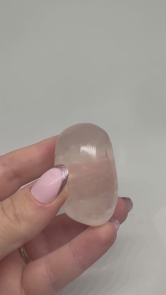 Amethyst Palm small