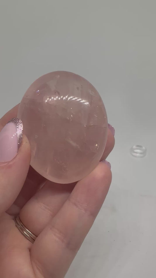 Amethyst Palm small